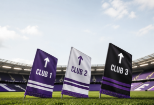How Will the Three Newly Promoted Clubs Perform in the Premier League? | Premier League