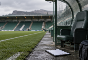 David Gray Dismissed by Hibernian After Six League Matches